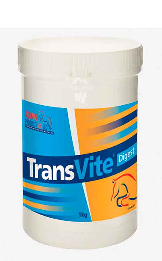 Equine Products TransVite Digest 1kg