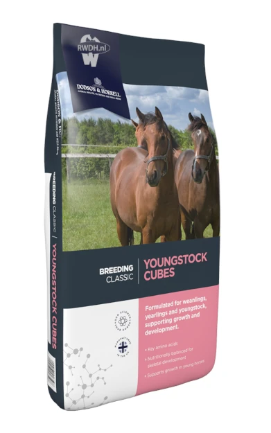 Youngstock Cubes