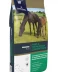 Mare Youngstock