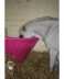Pony Hay Bar Pink